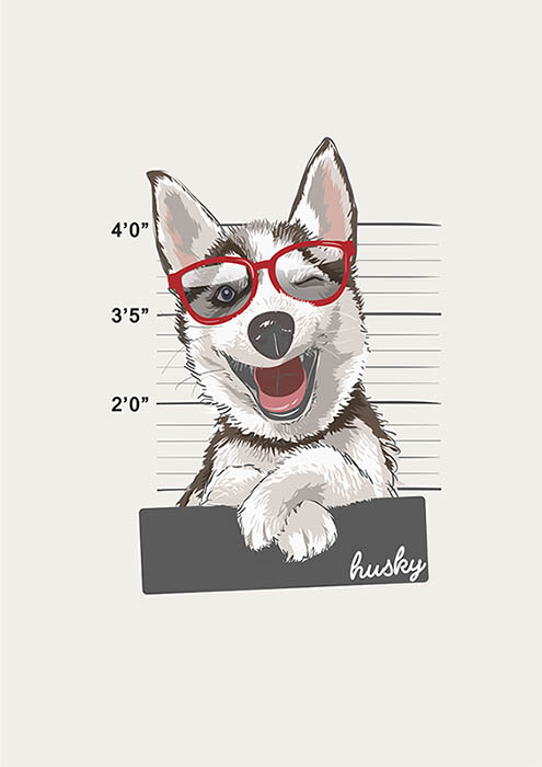 husky pies śmieszny projekt koszulka